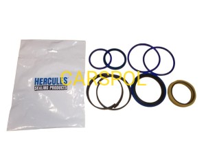 ZESTAW USZCZELEK 60 mm x 100 mm DO JCB HERCULES